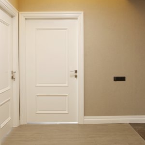 Panel Door Paints